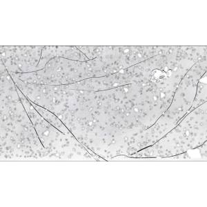 an art of a gray terain with lines all over